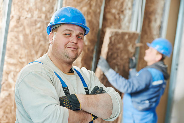 Best Insulation Installation Services in La Nte, MO